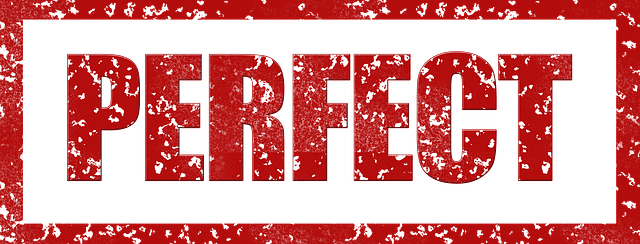 Introducing Ms. Perfect…